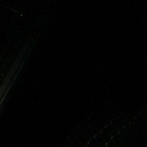 Meet your Posher, Ramone